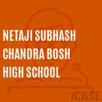 Netaji Subhash Chandra Bosh High School Logo