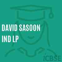 David Sasoon Ind Lp Primary School Logo