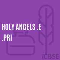 Holy Angels .E .Pri Middle School Logo