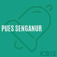 Pues Senganur Primary School Logo