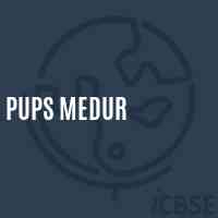 Pups Medur Primary School Logo
