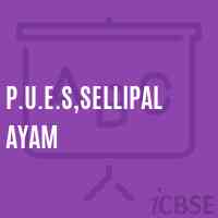 P.U.E.S,Sellipalayam Primary School Logo