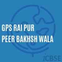 Gps Rai Pur Peer Bakhsh Wala Primary School Logo
