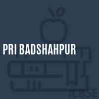 Pri Badshahpur Primary School Logo