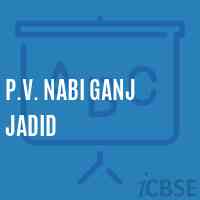 P.V. Nabi Ganj Jadid Primary School Logo