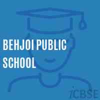 Behjoi Public School Logo