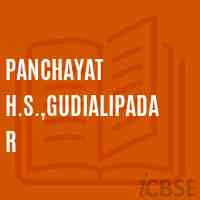 Panchayat H.S.,Gudialipadar School Logo