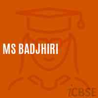 Ms Badjhiri Middle School Logo