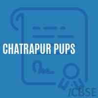 Chatrapur PUPS Middle School Logo