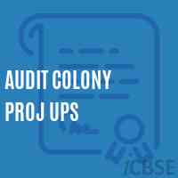 Audit Colony Proj Ups Middle School Logo