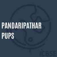 Pandaripathar Pups Middle School Logo