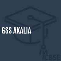 Gss Akalia High School Logo