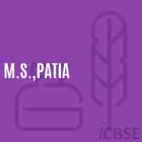 M.S.,Patia Middle School Logo