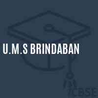U.M.S Brindaban Middle School Logo