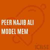 Peer Najib Ali Model Mem Middle School Logo