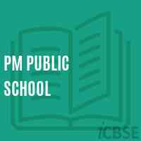 Pm Public School Logo