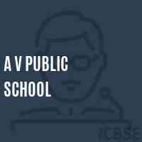 A V Public School Logo