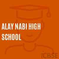 Alay Nabi High School Logo