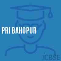 Pri Bahopur Primary School Logo