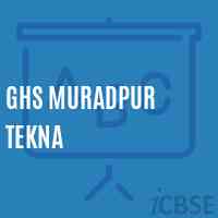 Ghs Muradpur Tekna Secondary School Logo