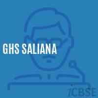 Ghs Saliana Secondary School Logo