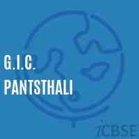 G.I.C. Pantsthali High School Logo