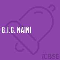 G.I.C. Naini High School Logo