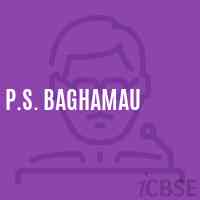 P.S. Baghamau Primary School Logo