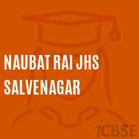 Naubat Rai Jhs Salvenagar Middle School Logo