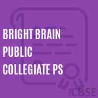 Bright Brain Public Collegiate Ps Primary School Logo