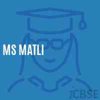Ms Matli Middle School Logo