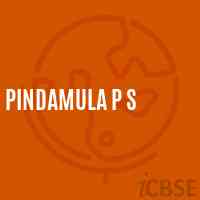 Pindamula P S Primary School Logo