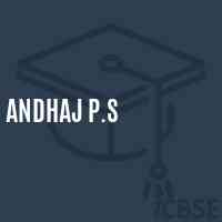 andhaj P.S Middle School Logo