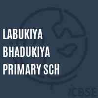 Labukiya Bhadukiya Primary Sch Middle School Logo