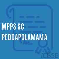 Mpps Sc Peddapolamama Primary School Logo