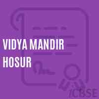 Vidya Mandir Hosur Middle School Logo