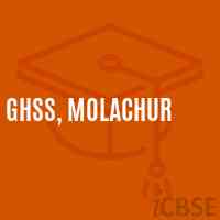 GHSS, Molachur High School Logo