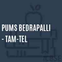 Pums Bedrapalli - Tam-Tel Middle School Logo