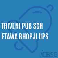 Triveni Pub Sch Etawa Bhopji Ups Middle School Logo