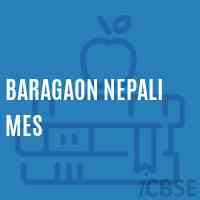 Baragaon Nepali Mes Middle School Logo