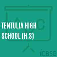 Tentulia High School (H.S) Logo