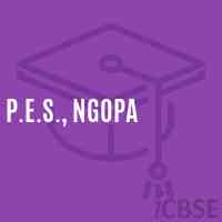 P.E.S., Ngopa Middle School Logo