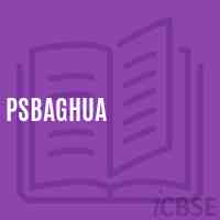 Psbaghua Primary School Logo