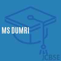 Ms Dumri Middle School Logo
