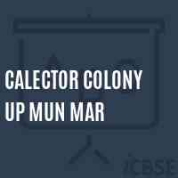 Calector Colony Up Mun Mar Middle School Logo