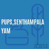 Pups,Senthampalayam Primary School Logo