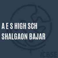 A E S High Sch Shalgaon Bajar Secondary School Logo