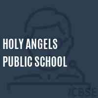 Holy Angels Public School Logo