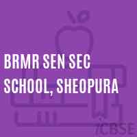BRMR Sen Sec School, Sheopura Logo