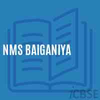Nms Baiganiya Middle School Logo